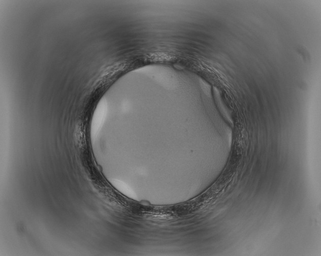 X0000110990743200907101430