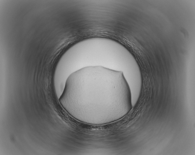 X0000110990744200907101430