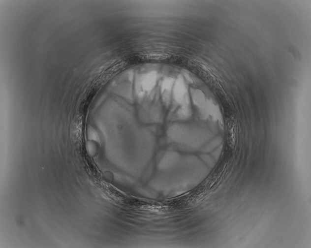 X0000110990745200907101430