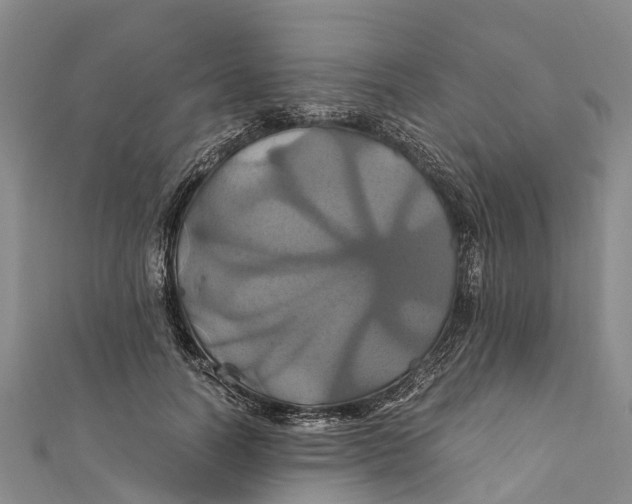 X0000110990746200907101430