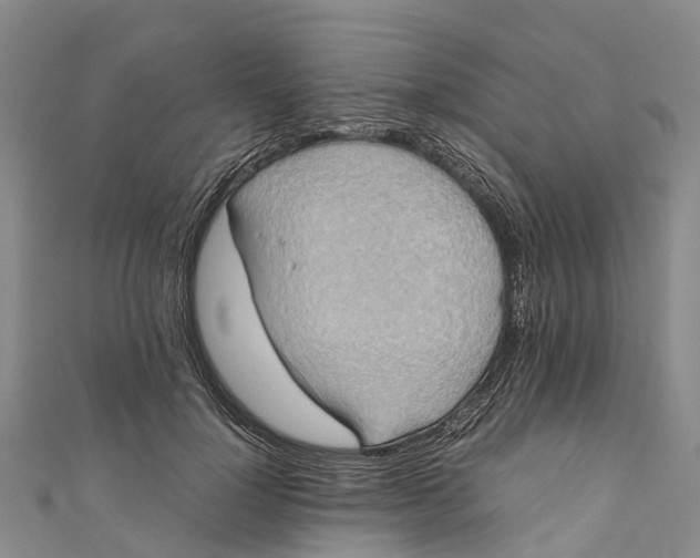 X0000110990748200907101430