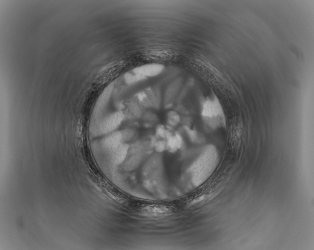X0000110990749200907101430