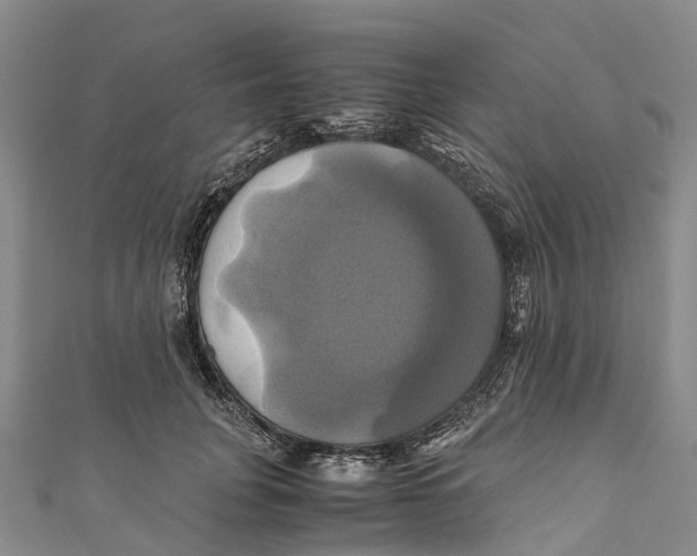 X0000110990751200907101430