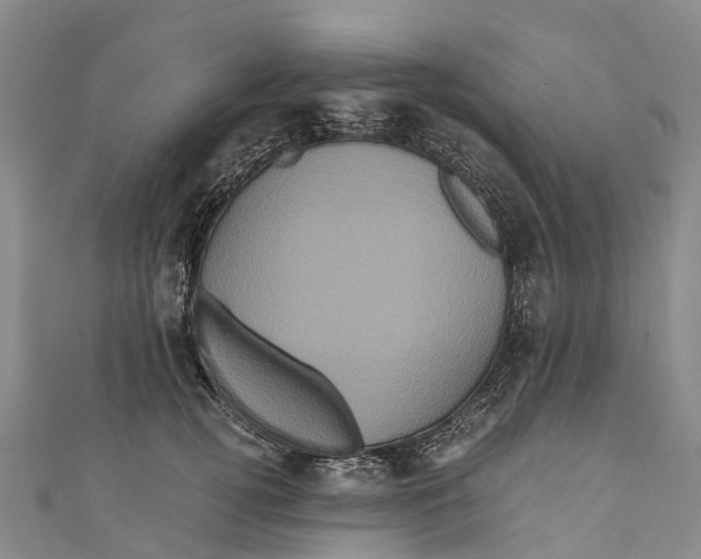 X0000110990752200907101430