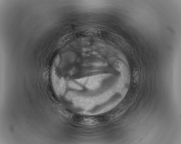 X0000110990753200907101430