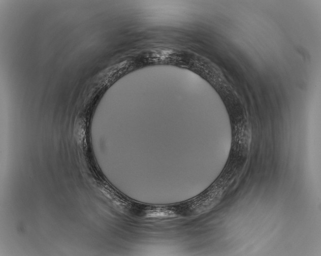 X0000110990754200907101430