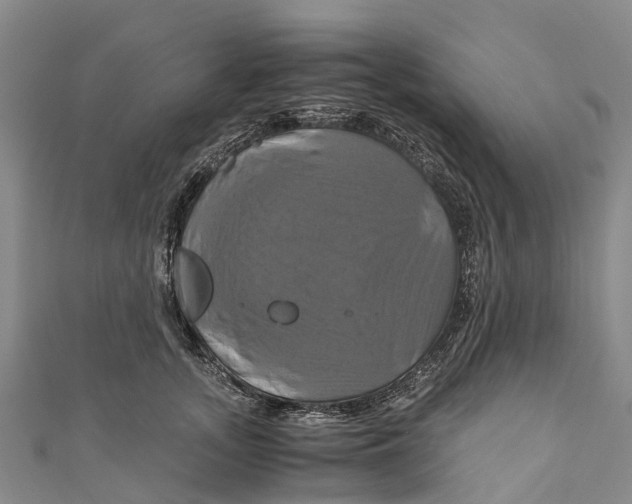 X0000110990755200907101430