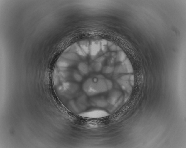 X0000110990757200907101430