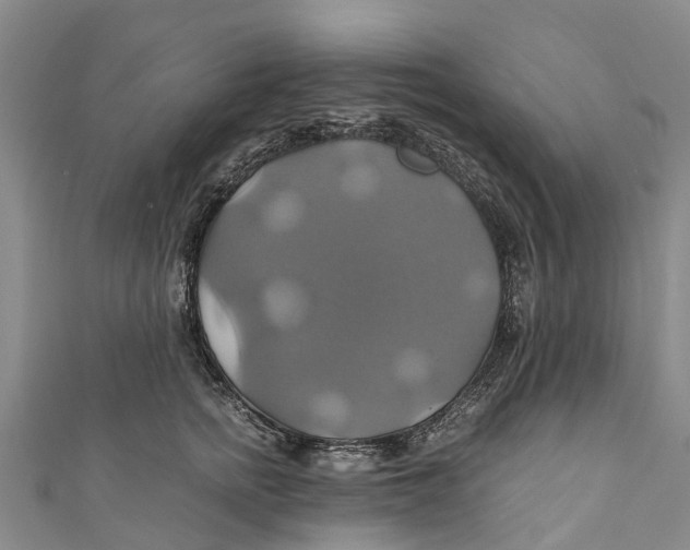 X0000110990758200907101430