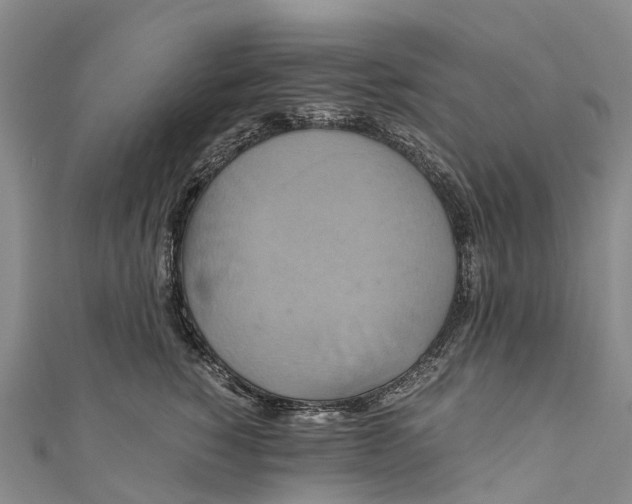 X0000110990760200907101430