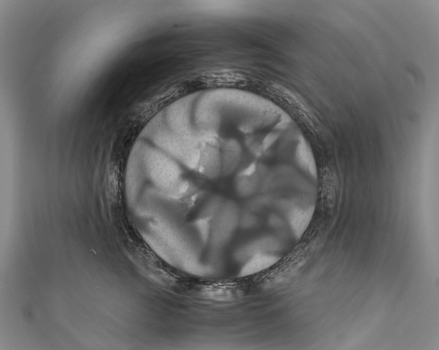 X0000110990761200907101430