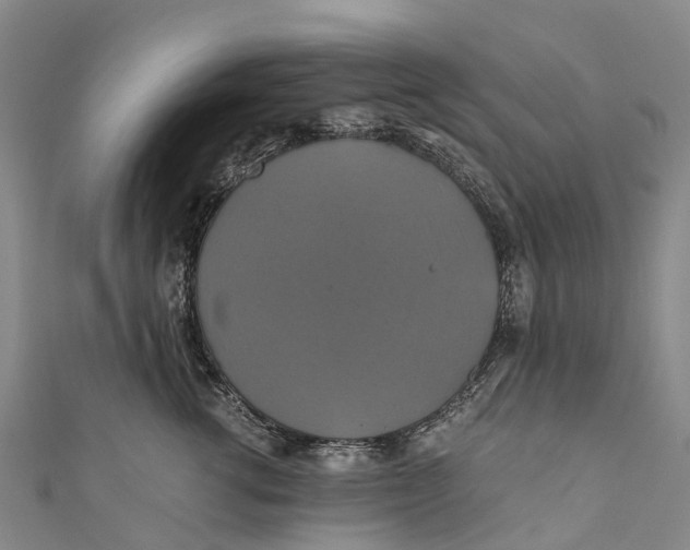 X0000110990762200907101430