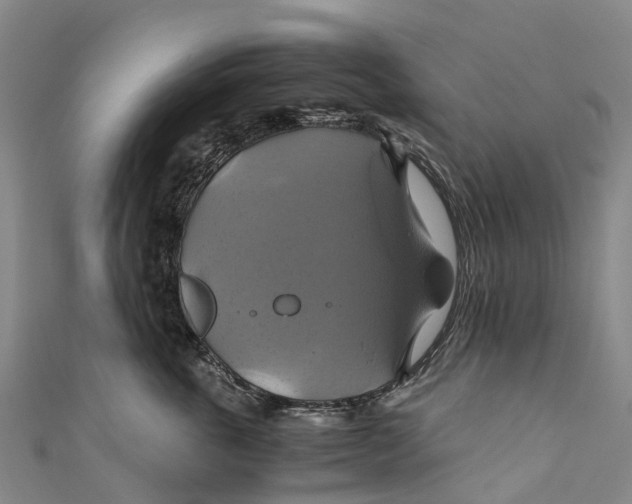 X0000110990763200907101430