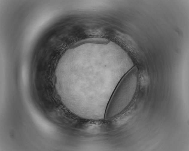 X0000110990764200907101430