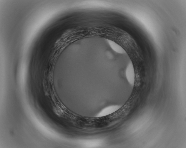 X0000110990765200907101430