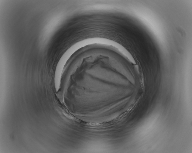 X0000110990766200907101430