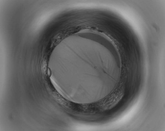 X0000110990767200907101430