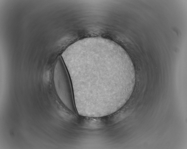 X0000110990768200907101430