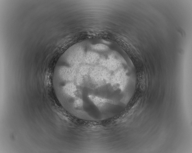 X0000110990770200907101430