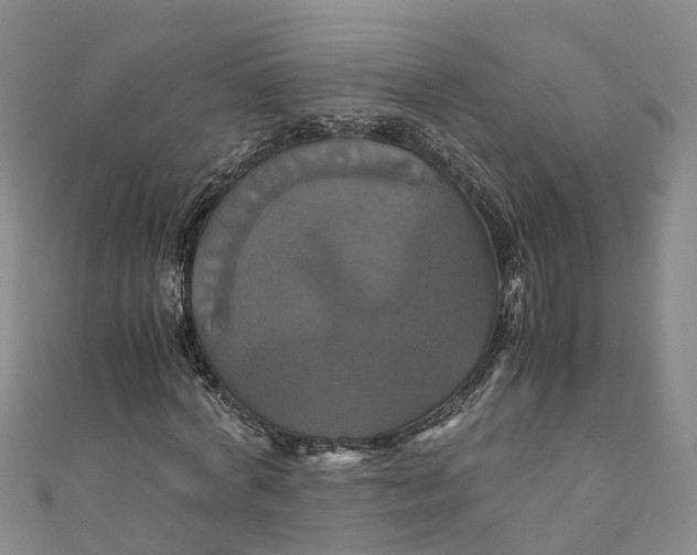 X0000110990772200907101430