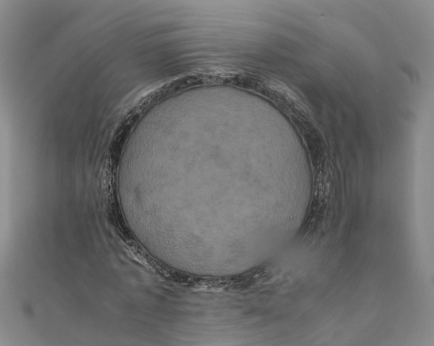 X0000110990773200907101430