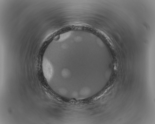X0000110990775200907101430