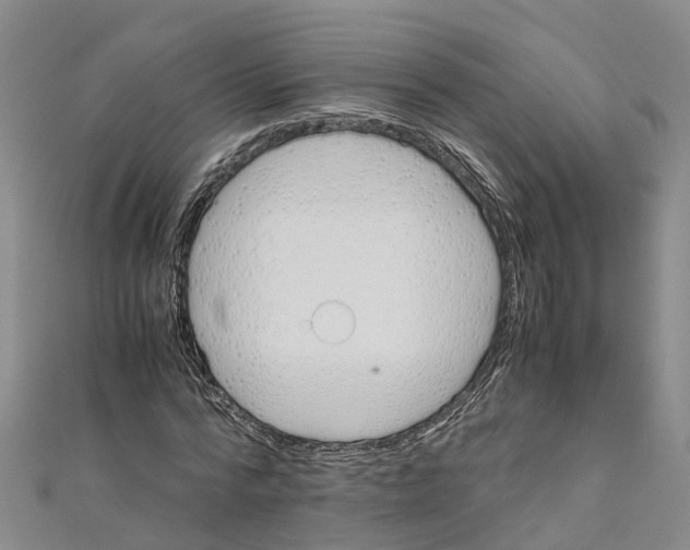 X0000110990776200907101430