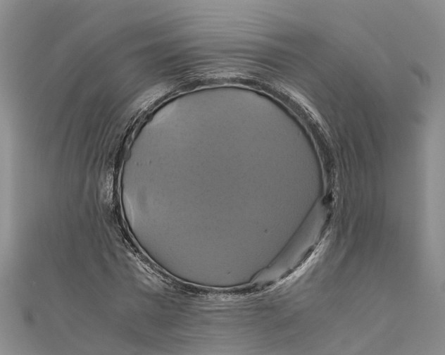 X0000110990777200907101430