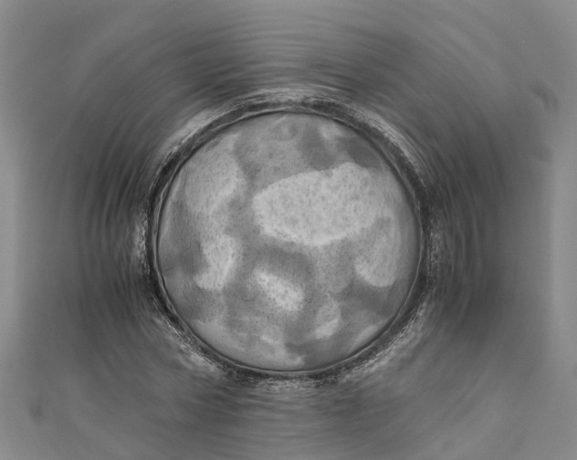 X0000110990778200907101430