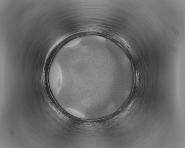 X0000110990780200907101430