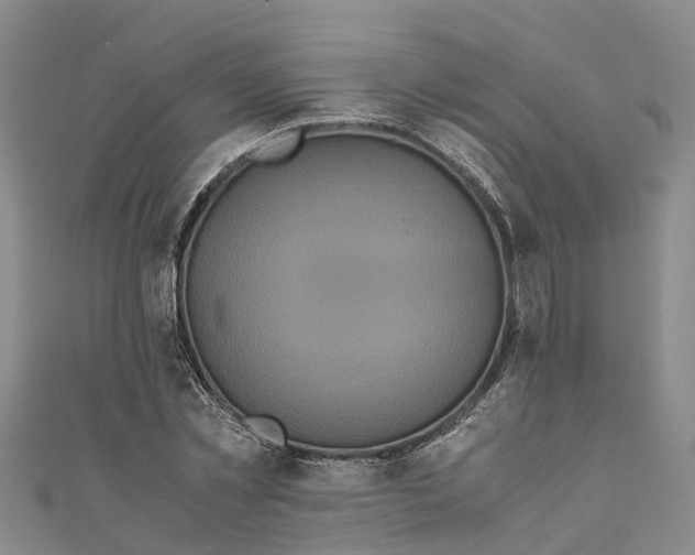 X0000110990781200907101430