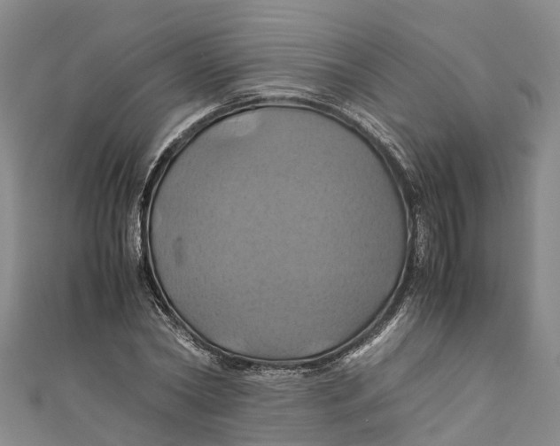 X0000110990782200907101430