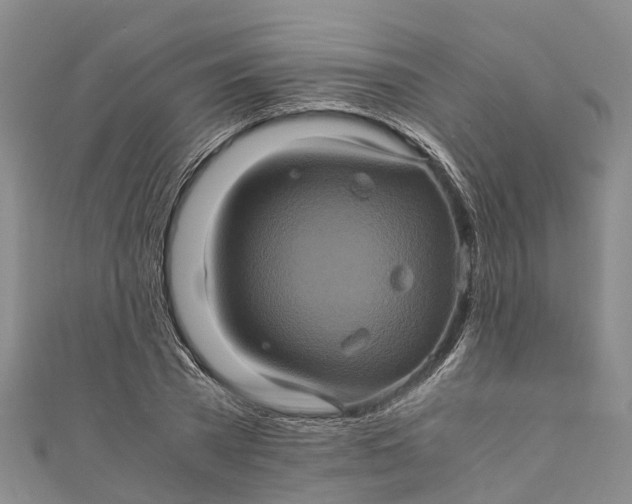 X0000110990785200907101430