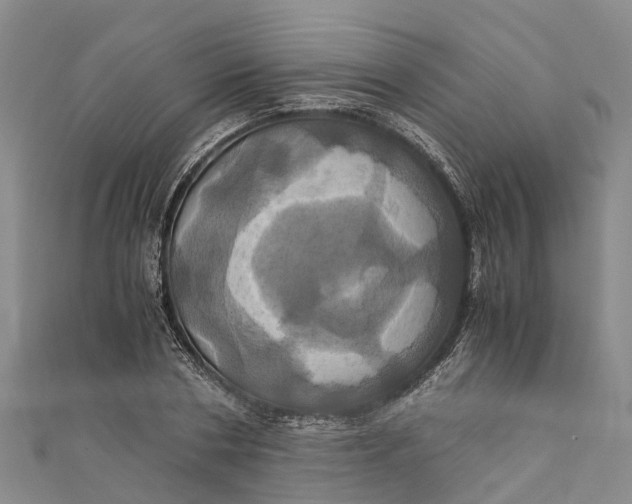 X0000110990786200907101430