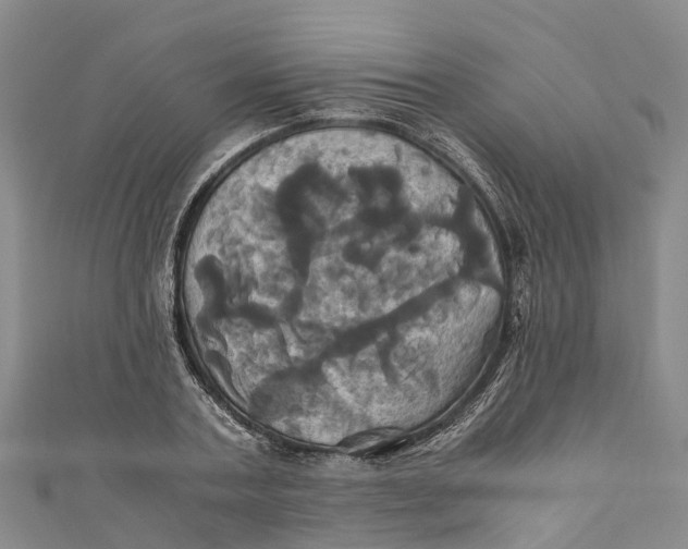 X0000110990787200907101430