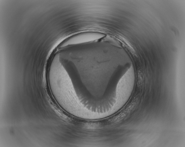 X0000110990788200907101430
