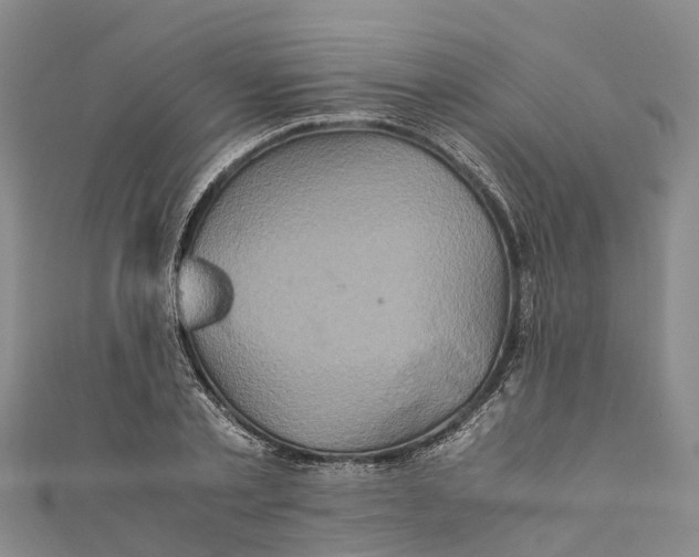 X0000110990789200907101430
