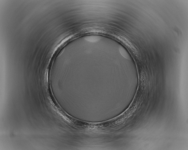 X0000110990790200907101430