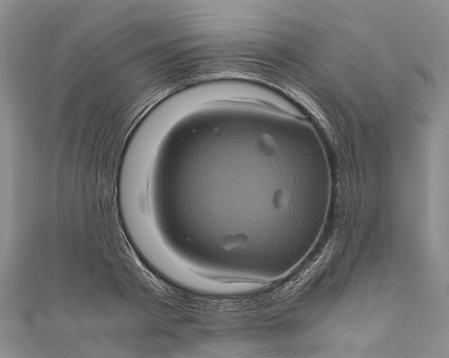 X0000110990793200907101430