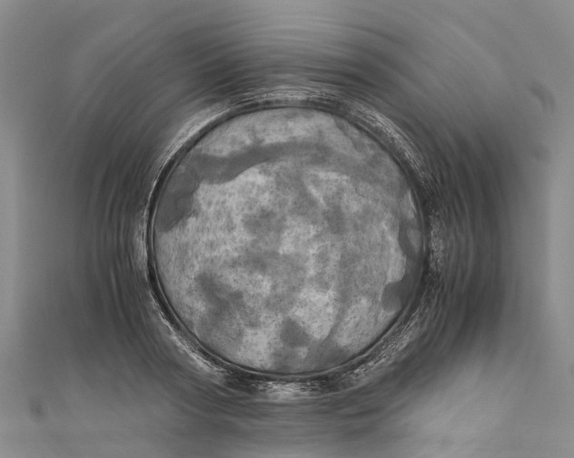 X0000110990794200907101430