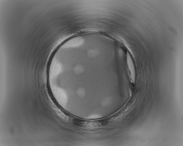 X0000110990795200907101430