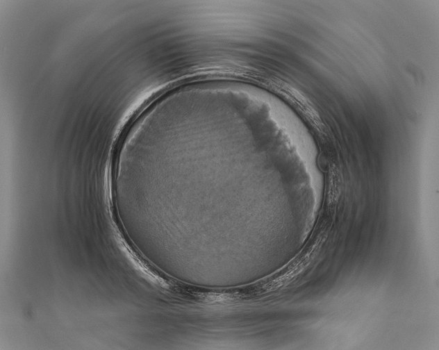 X0000110990796200907101429