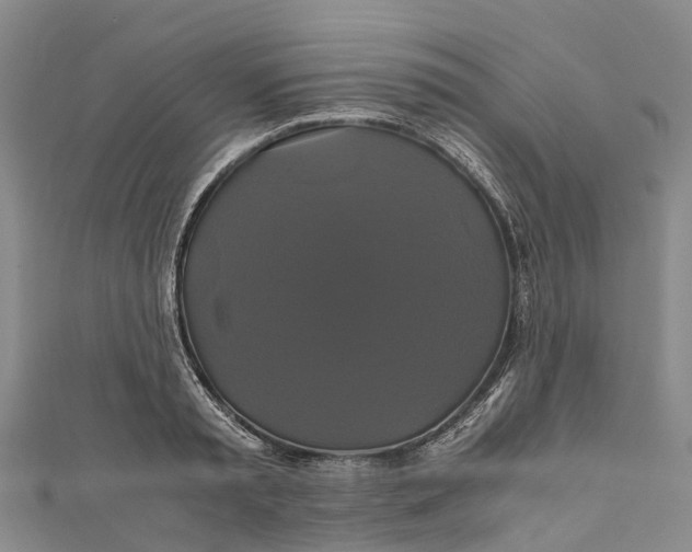 X0000110990797200907101429