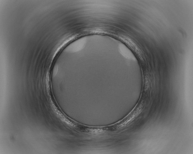 X0000110990798200907101429