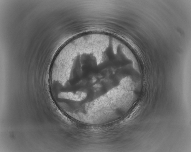 X0000110990799200907101429