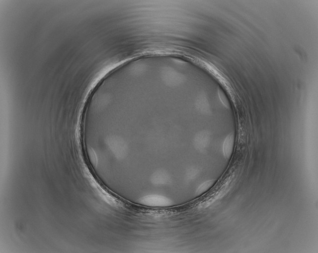 X0000110990803200907101429