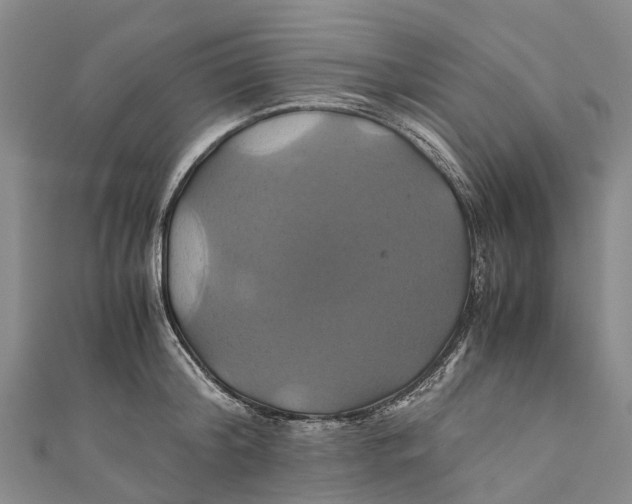 X0000110990804200907101429