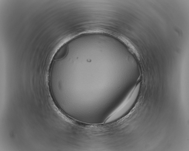 X0000110990805200907101429