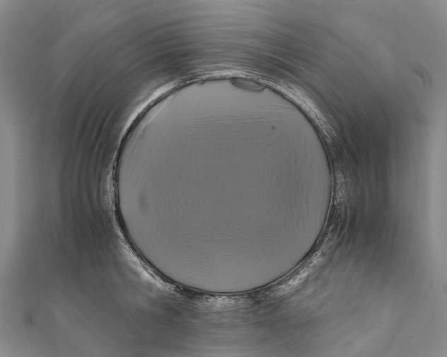 X0000110990806200907101429