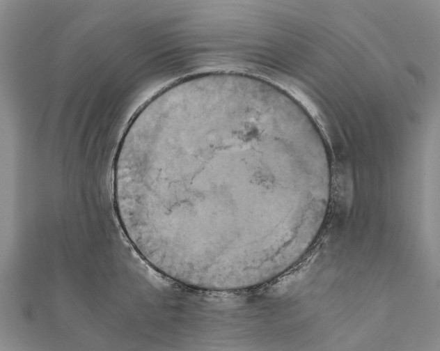 X0000110990807200907101429